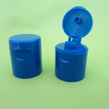 t24 flip cap